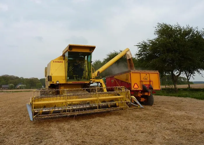 De Twee Paardjes