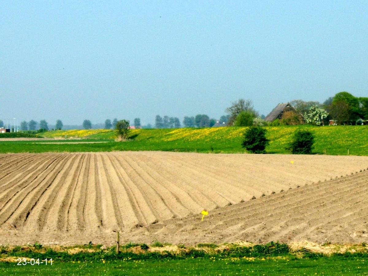 De Twee Paardjes Warffum